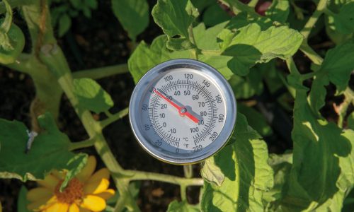 Température du sol et acclimatation : une combinaison gagnante